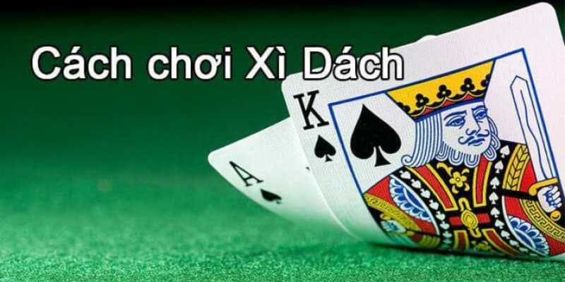 Hướng dẫn cách chơi bài xì dách dễ thắng 